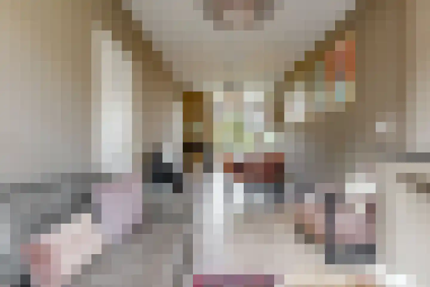 Govert Bidloostraat 78 Den Haag thumbnail 7