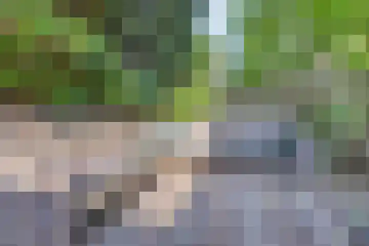 Govert Bidloostraat 96 Den Haag thumbnail 4