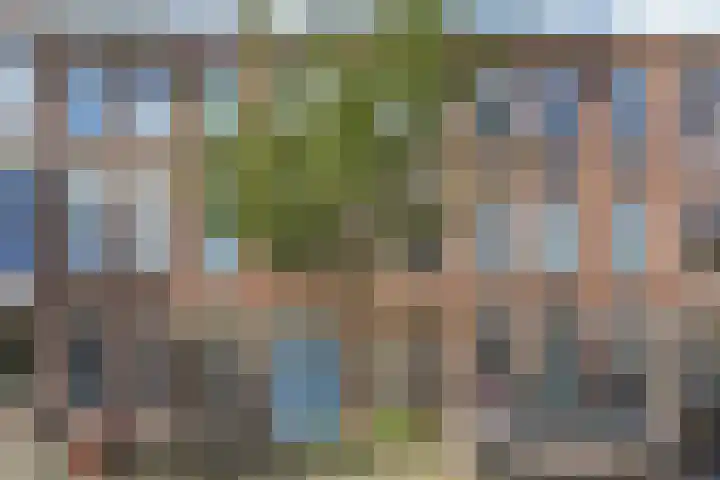 Govert Bidloostraat 96 Den Haag thumbnail 5