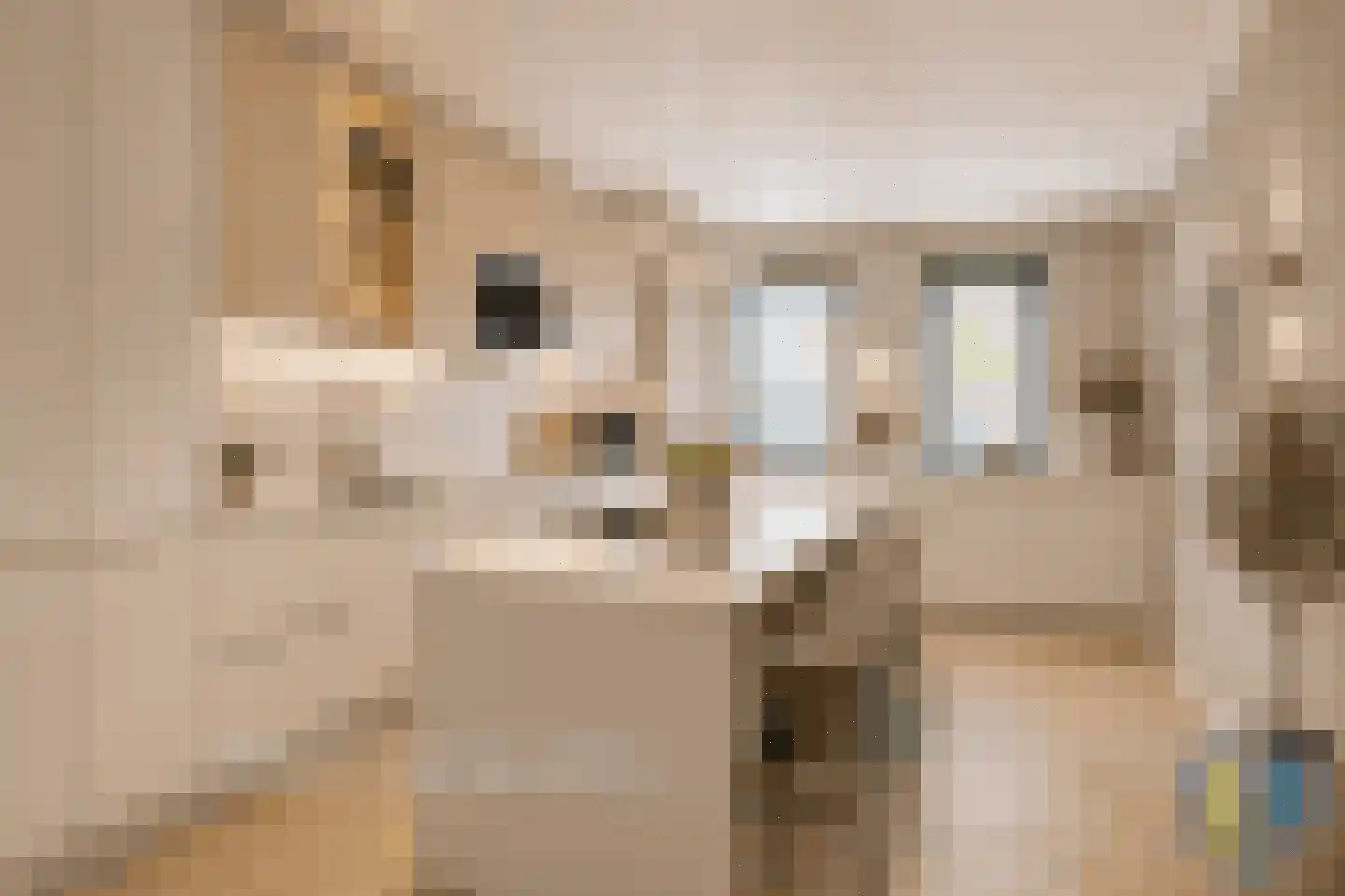 Govert Flinckhage 22 Nieuwegein thumbnail 20