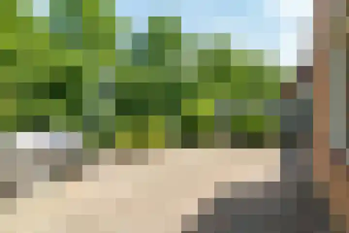 Govert Flinckhage 23 Nieuwegein thumbnail 28