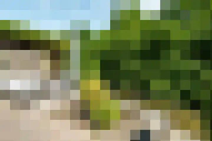 Govert Flinckhage 23 Nieuwegein thumbnail 29