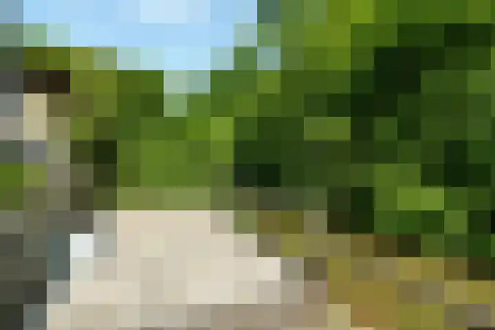 Govert Flinckhage 23 Nieuwegein thumbnail 30
