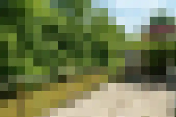 Govert Flinckhage 23 Nieuwegein thumbnail 31
