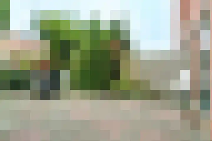 Govert Flinckhage 28 Nieuwegein thumbnail 17