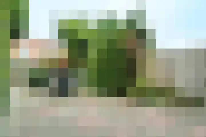 Govert Flinckhage 28 Nieuwegein thumbnail 18