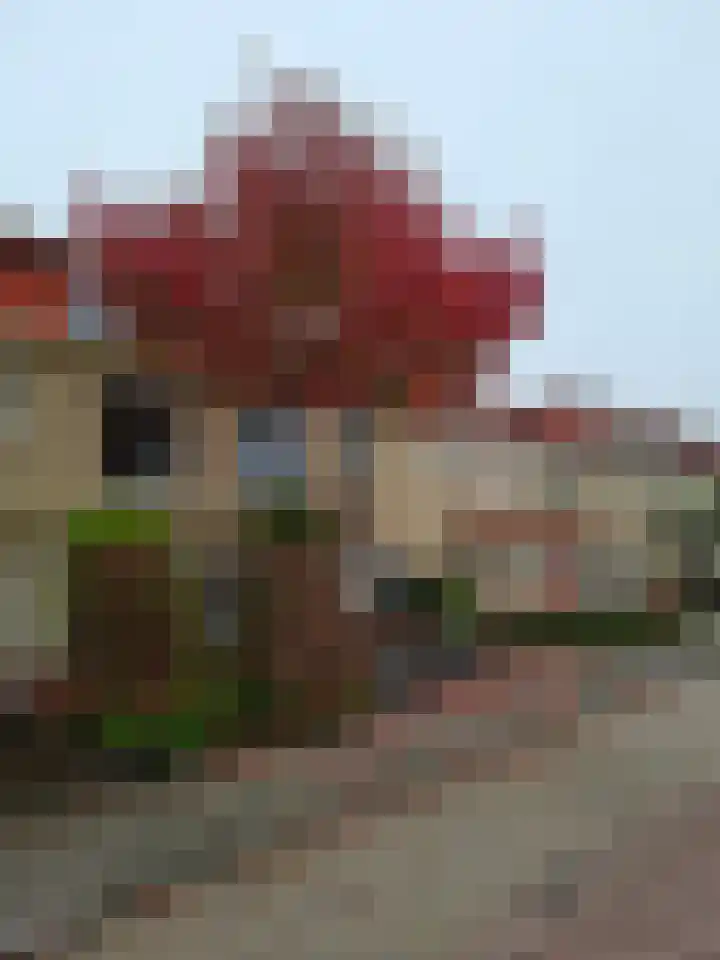 Govert Flinckhage 28 Nieuwegein thumbnail 4