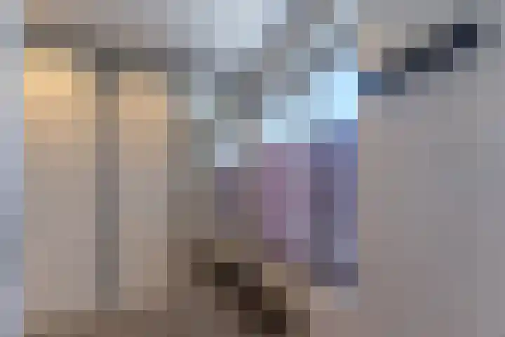 Govert Flincklaan 11 Yerseke thumbnail 22