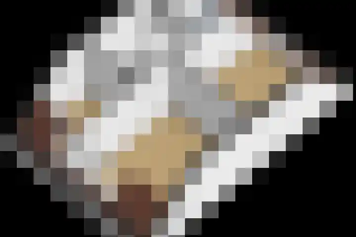 Govert Flincklaan 11 Yerseke thumbnail 34