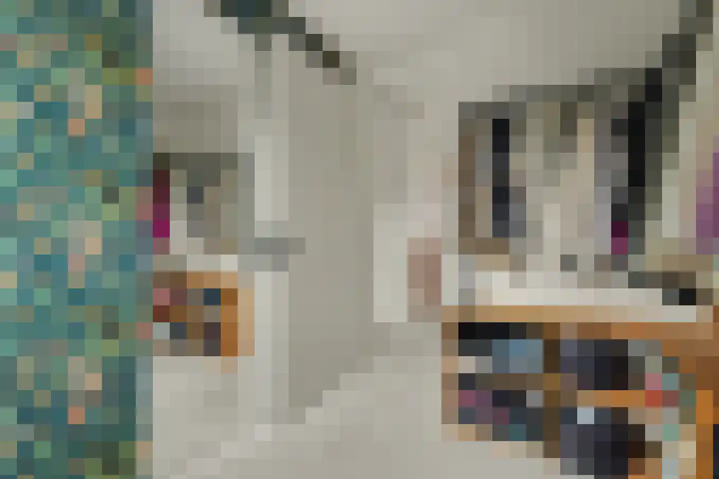 Govert Flincklaan 17 Yerseke thumbnail 20