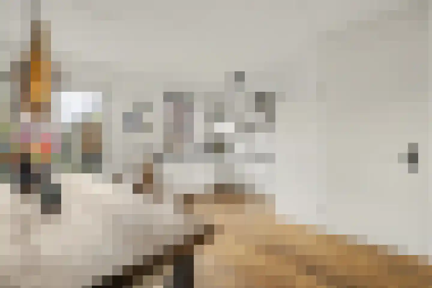 Govert Flincklaan 17 Yerseke thumbnail 8