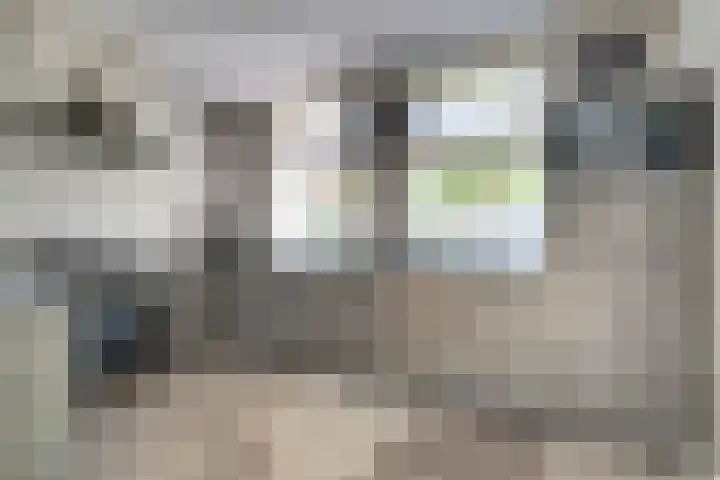 Govert Flincklaan 21 Yerseke thumbnail 10