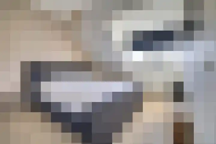 Govert Flincklaan 21 Yerseke thumbnail 13