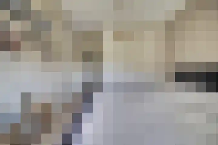 Govert Flincklaan 21 Yerseke thumbnail 14