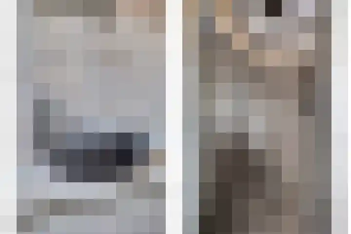 Govert Flincklaan 21 Yerseke thumbnail 20