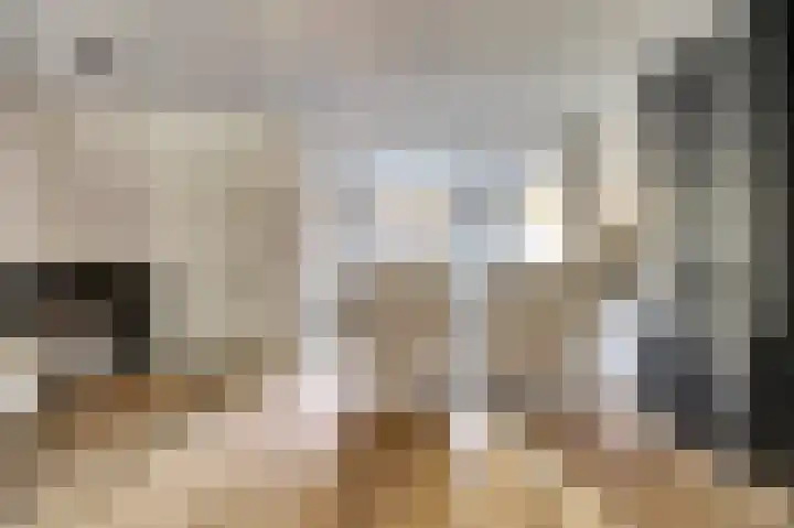 Govert Flincklaan 21 Yerseke thumbnail 5
