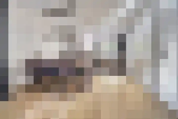 Govert Flincklaan 21 Yerseke thumbnail 7