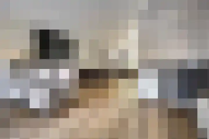 Govert Flincklaan 21 Yerseke thumbnail 8
