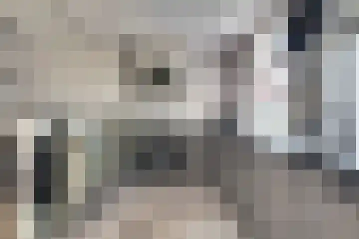 Govert Flincklaan 21 Yerseke thumbnail 9