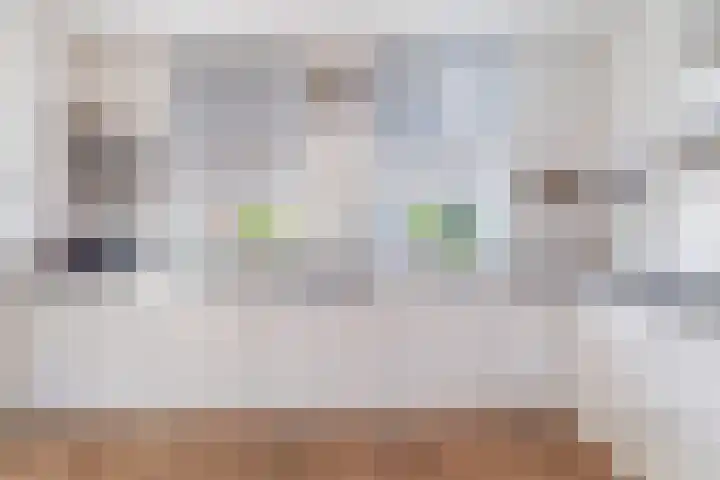 Govert Flincklaan 3 Yerseke thumbnail 12