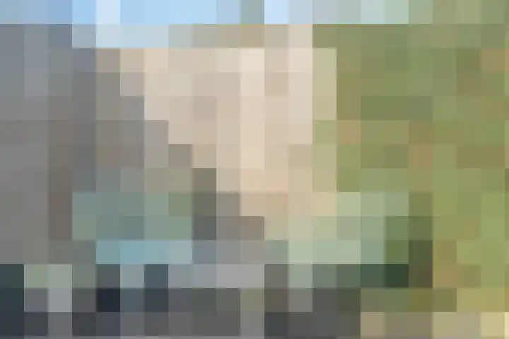 Govert Flincklaan 3 Yerseke thumbnail 32