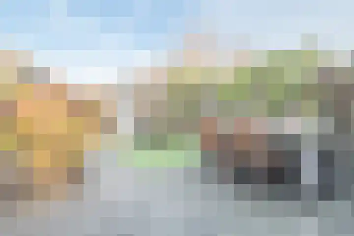 Govert Flincklaan 3 Yerseke thumbnail 5
