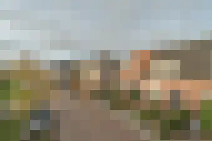 Govert Flincklaan 3 Yerseke thumbnail 7