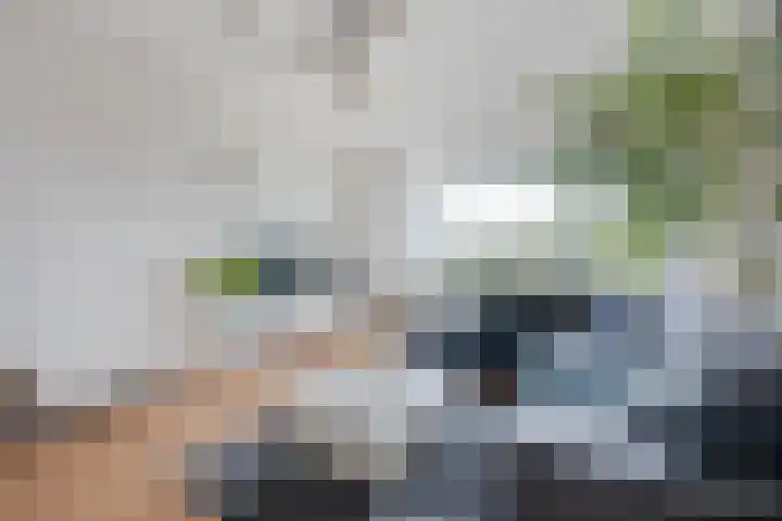 Govert Flinckplantsoen 24 Voorschoten thumbnail 11