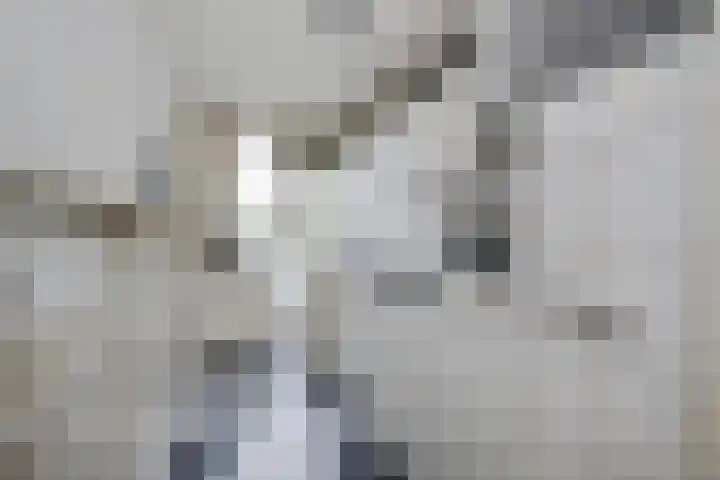 Govert Flinckplantsoen 24 Voorschoten thumbnail 14