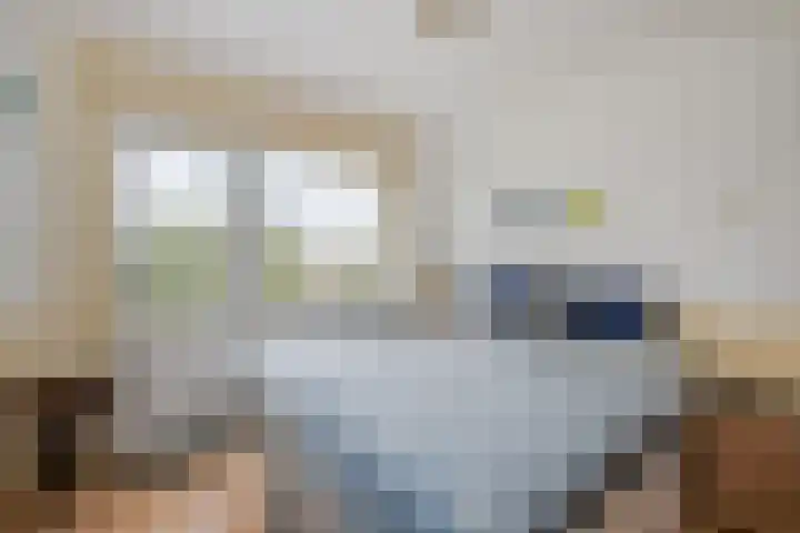 Govert Flinckplantsoen 24 Voorschoten thumbnail 16