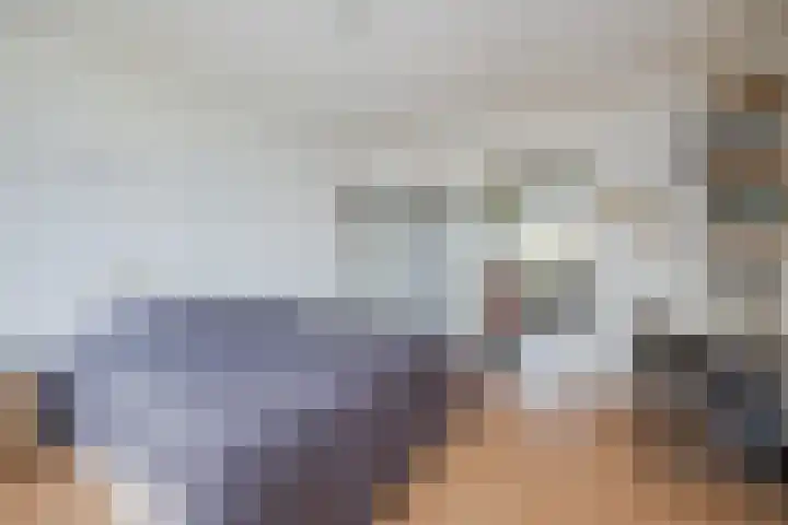 Govert Flinckplantsoen 24 Voorschoten thumbnail 19