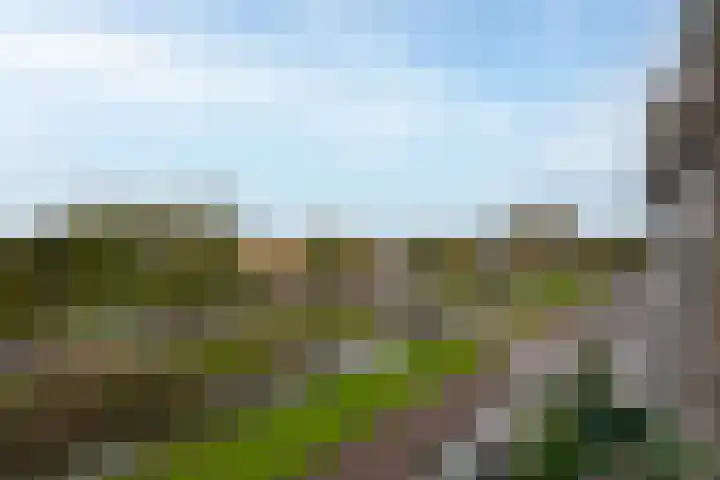 Govert Flinckplantsoen 24 Voorschoten thumbnail 24