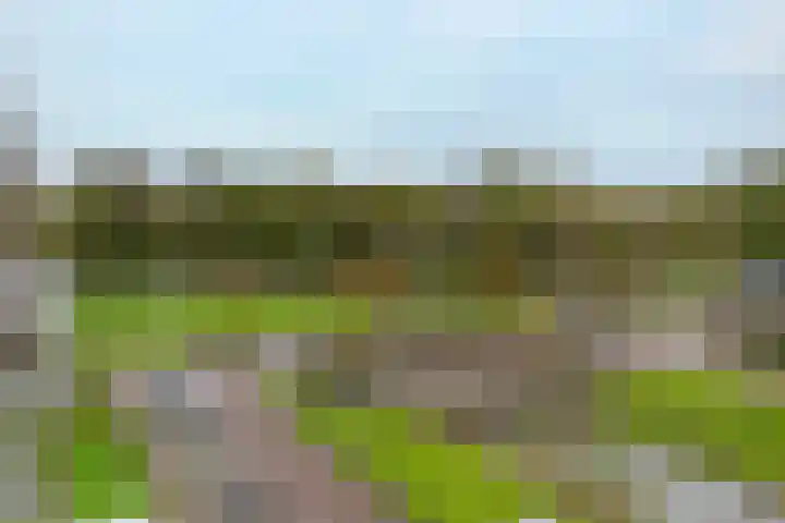 Govert Flinckplantsoen 24 Voorschoten thumbnail 25