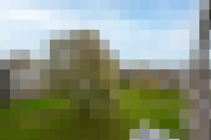 Govert Flinckplantsoen 24 Voorschoten thumbnail 27