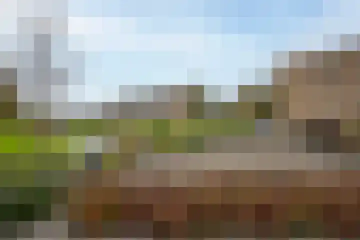 Govert Flinckplantsoen 24 Voorschoten thumbnail 33