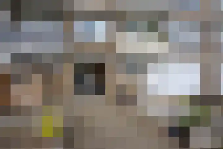 Govert Flinckplantsoen 24 Voorschoten thumbnail 7