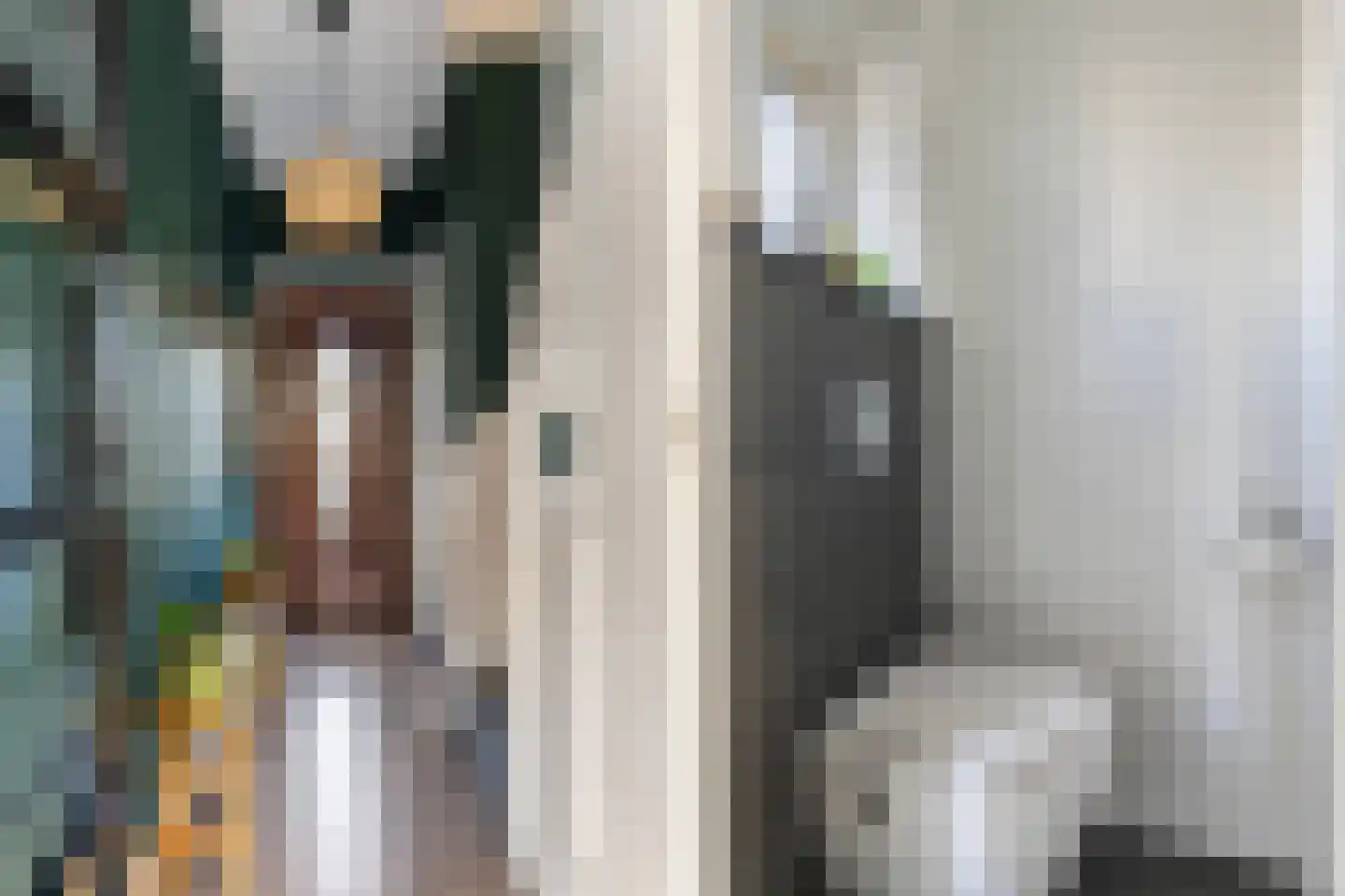 Govert Flinckstraat 10 Zwolle thumbnail 13
