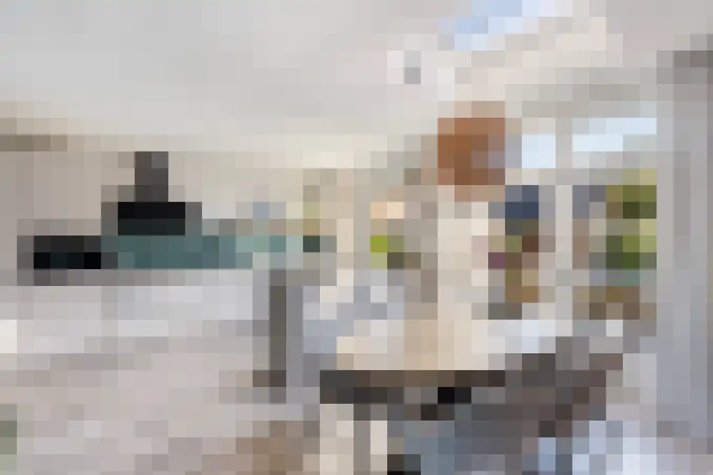 Govert Flinckstraat 10 Zwolle thumbnail 4