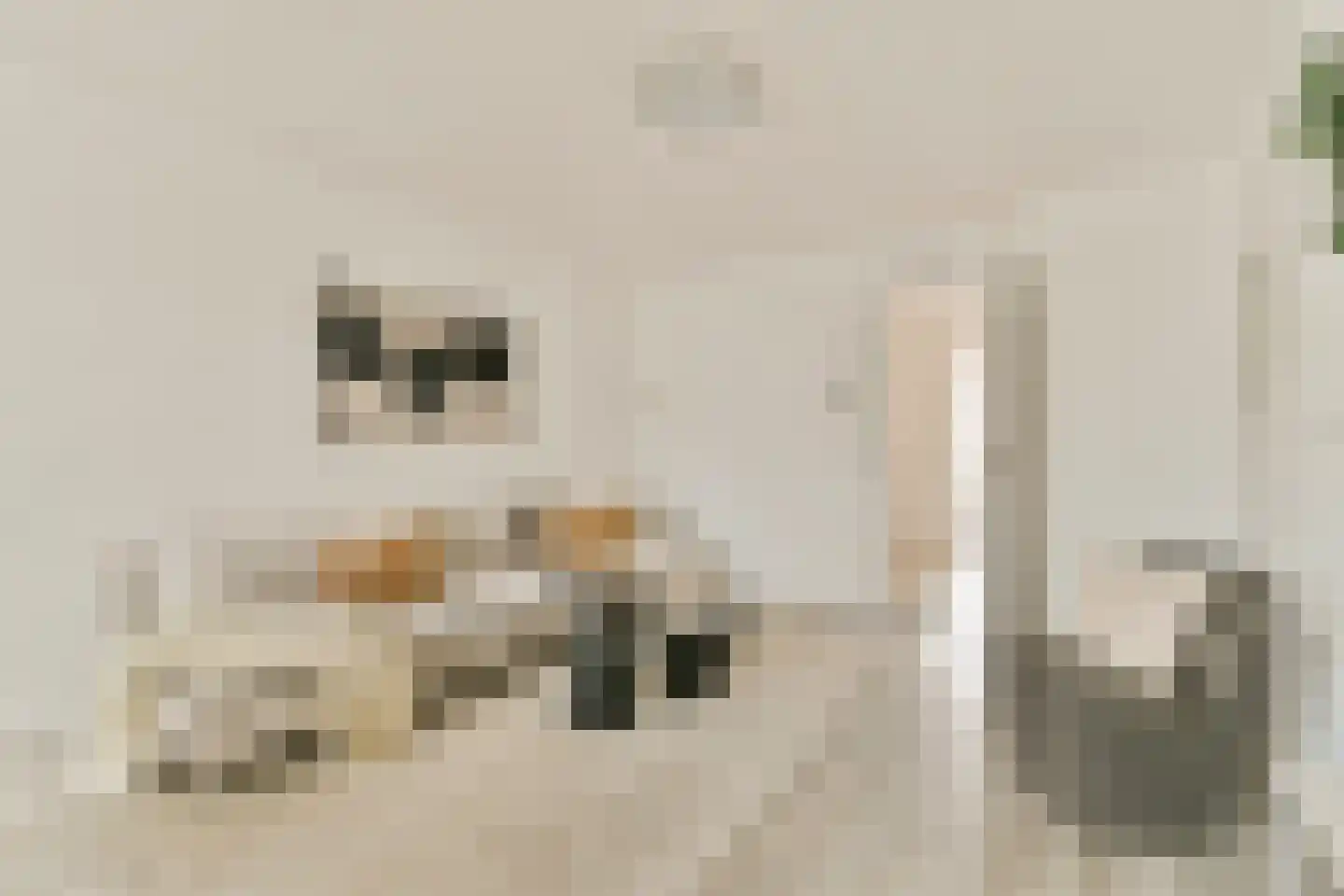 Govert Flinckstraat 104 C Amsterdam thumbnail 6