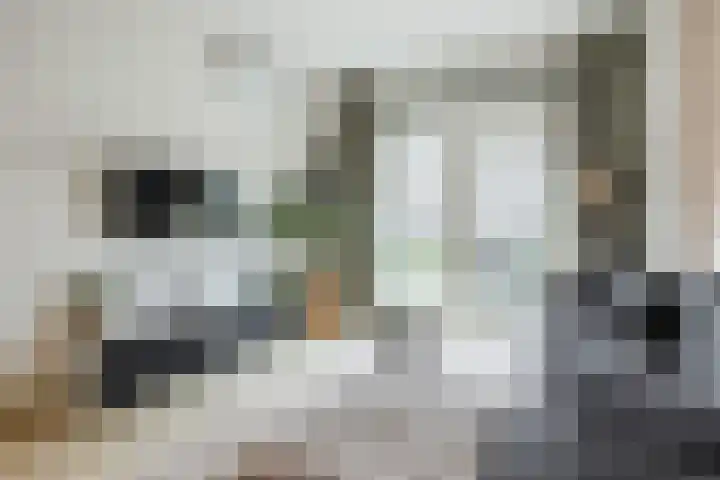 Govert Flinckstraat 11 D Zwolle thumbnail 11