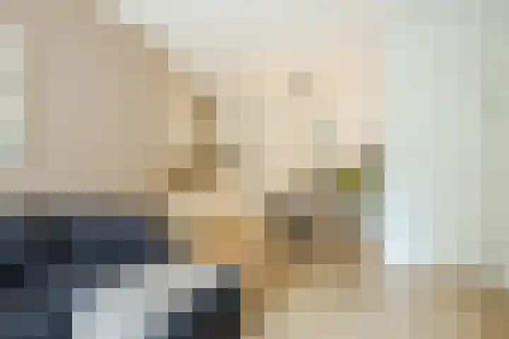 Govert Flinckstraat 11 D Zwolle thumbnail 14