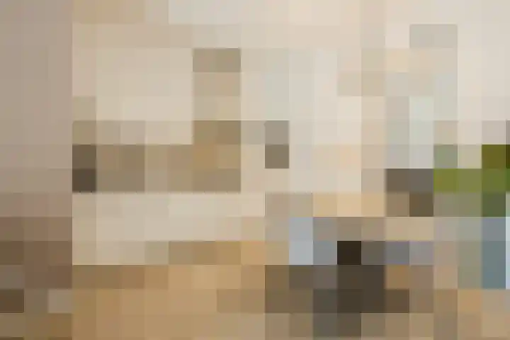 Govert Flinckstraat 11 D Zwolle thumbnail 15