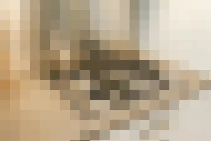 Govert Flinckstraat 11 D Zwolle thumbnail 18