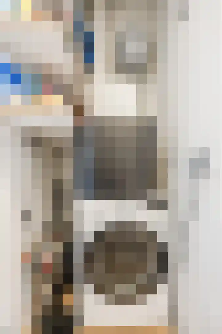 Govert Flinckstraat 11 D Zwolle thumbnail 27