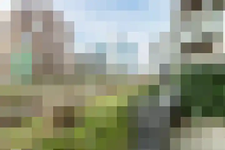 Govert Flinckstraat 11 D Zwolle thumbnail 36