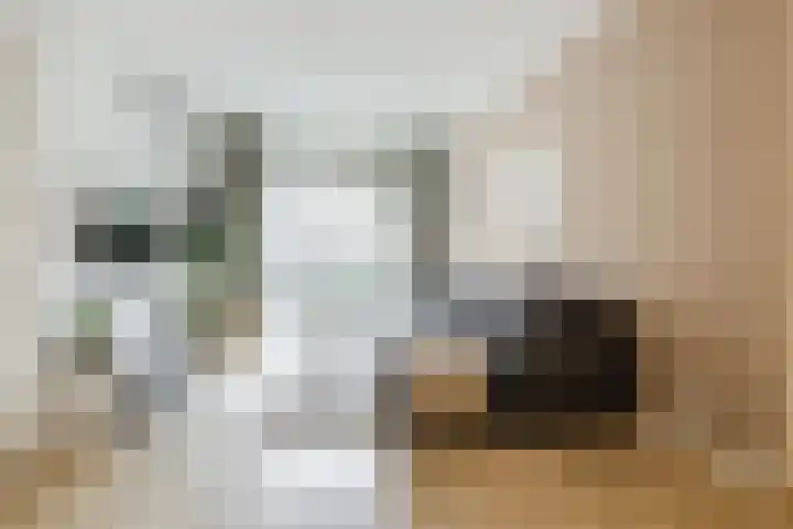 Govert Flinckstraat 11 D Zwolle thumbnail 9