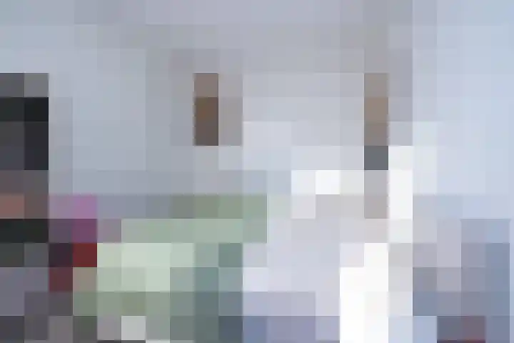 Govert Flinckstraat 11 F Zwolle thumbnail 12