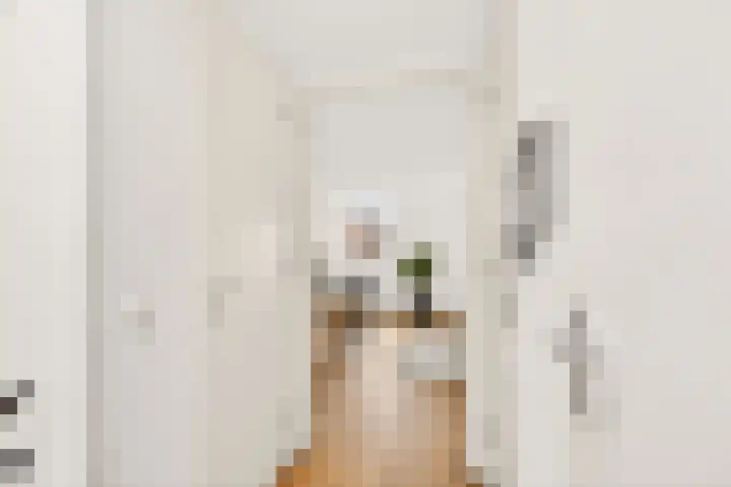 Govert Flinckstraat 110 B Amsterdam thumbnail 16