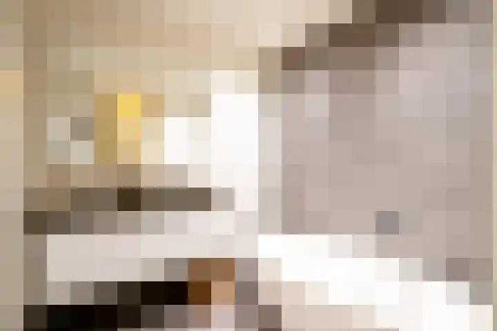 Govert Flinckstraat 117 H Amsterdam thumbnail 21