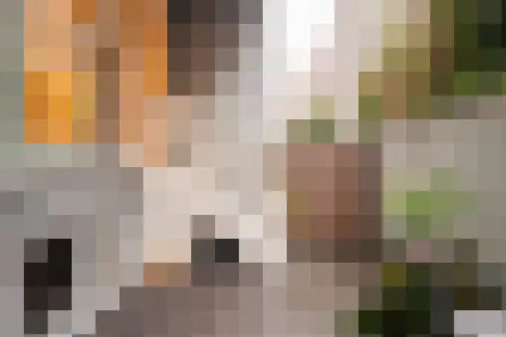 Govert Flinckstraat 117 H Amsterdam thumbnail 28